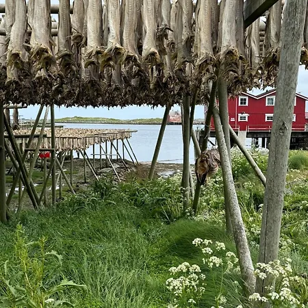 Sophiehuset- Cozy Oceanview * Sørvågen